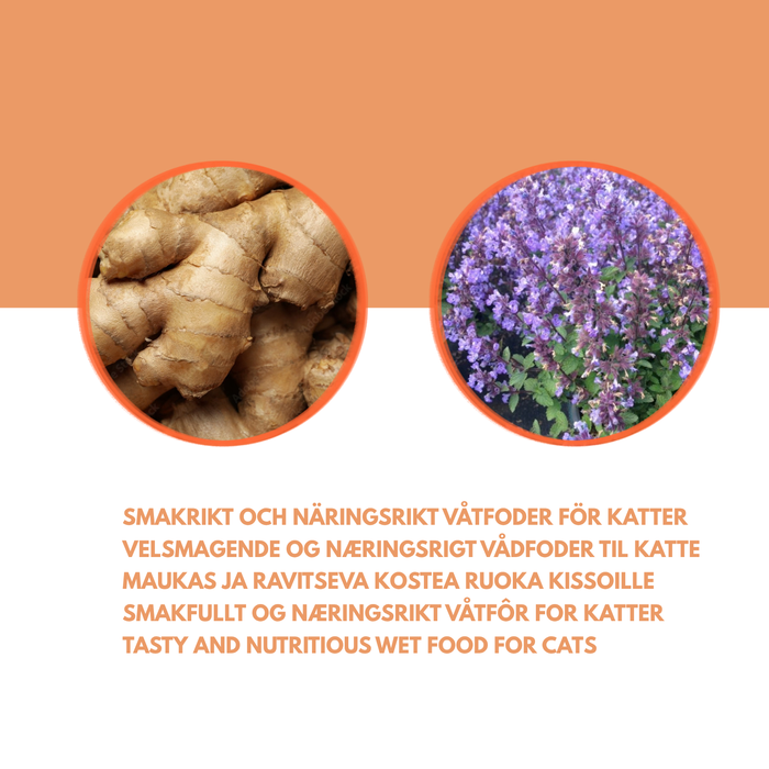 Kani- & kananliha-ateria kissalle - Herkullinen märkäruoka kissoille