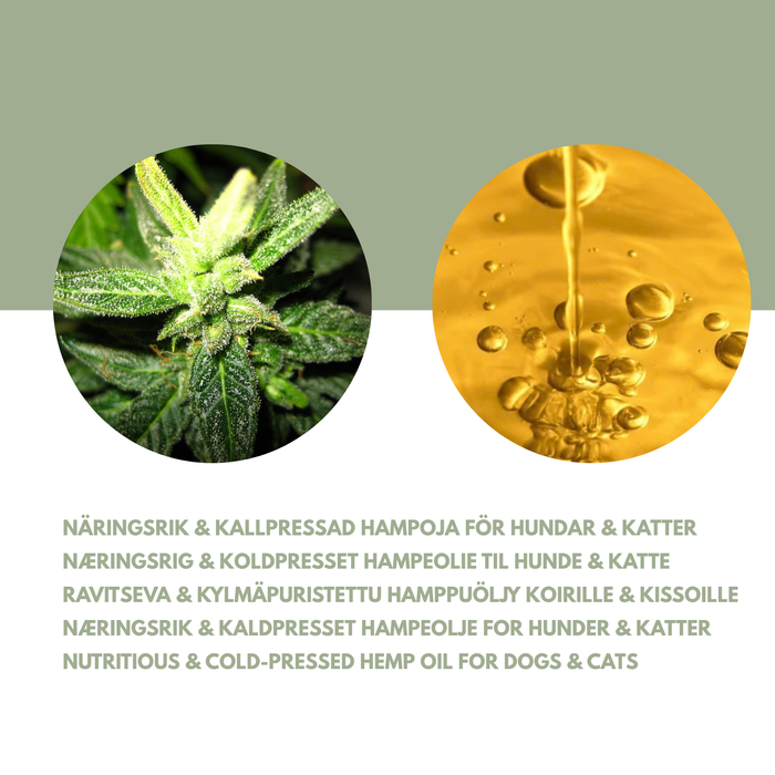 Hemp oil – Natural care for coat and well-being