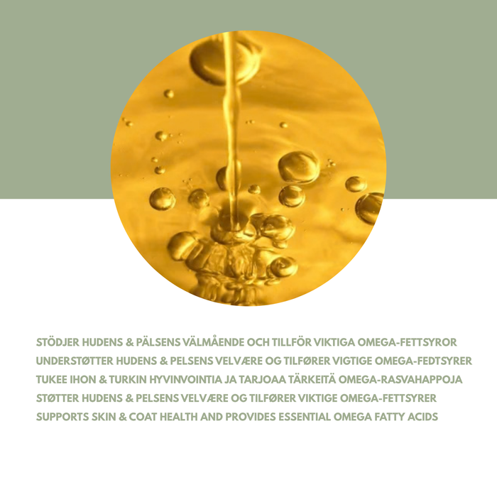 Evening primrose oil for dogs and cats – Edible plant-based skin and coat treatment