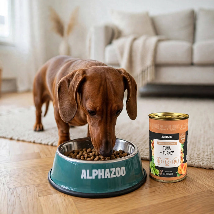 Salmon & Turkey Meal – Delicious wet food for dogs