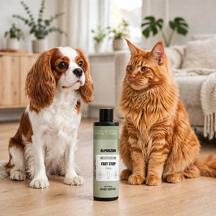 Pieruöljy – Nelijalkaisen ystäväsi ruoansulatuksen tueksi