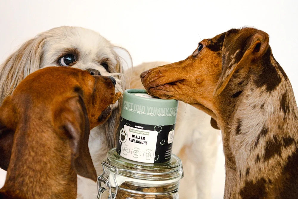 WE HAVE WHAT YOUR DOG NEEDS